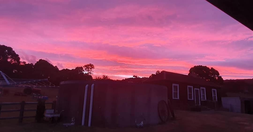 Ruby'S Cottage Farm Stay Port Arthur Buitenkant foto