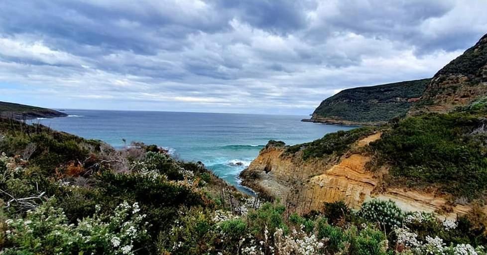 Ruby'S Cottage Farm Stay Port Arthur Buitenkant foto