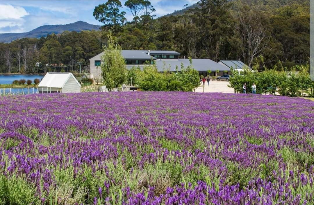 Ruby'S Cottage Farm Stay Port Arthur Buitenkant foto
