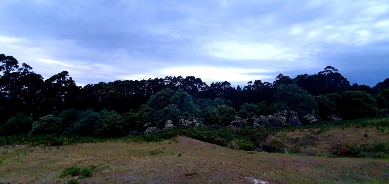 Ruby'S Cottage Farm Stay Port Arthur Buitenkant foto