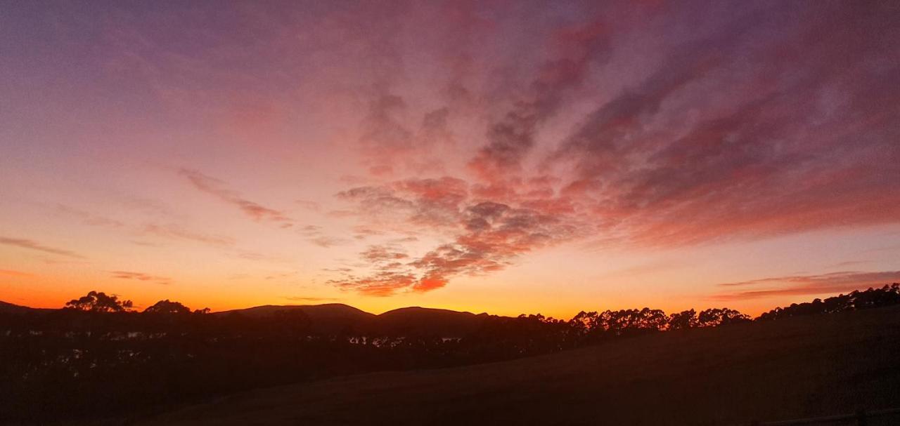 Ruby'S Cottage Farm Stay Port Arthur Buitenkant foto