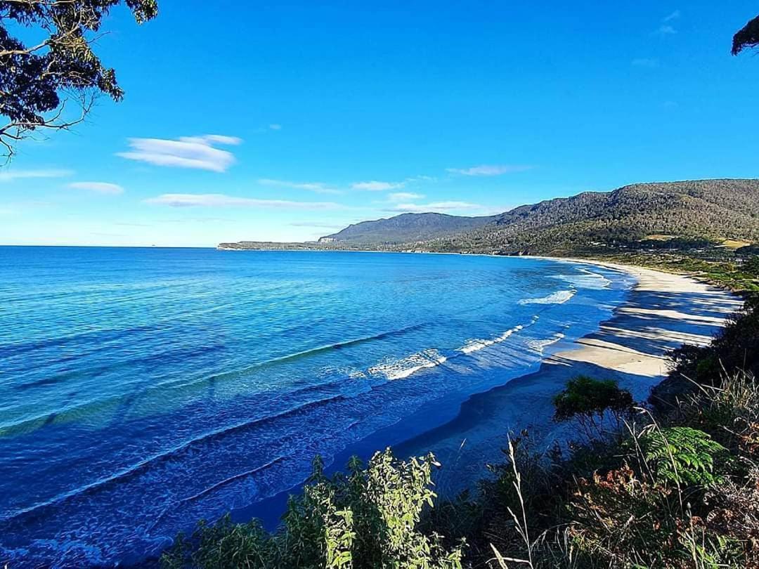 Ruby'S Cottage Farm Stay Port Arthur Buitenkant foto