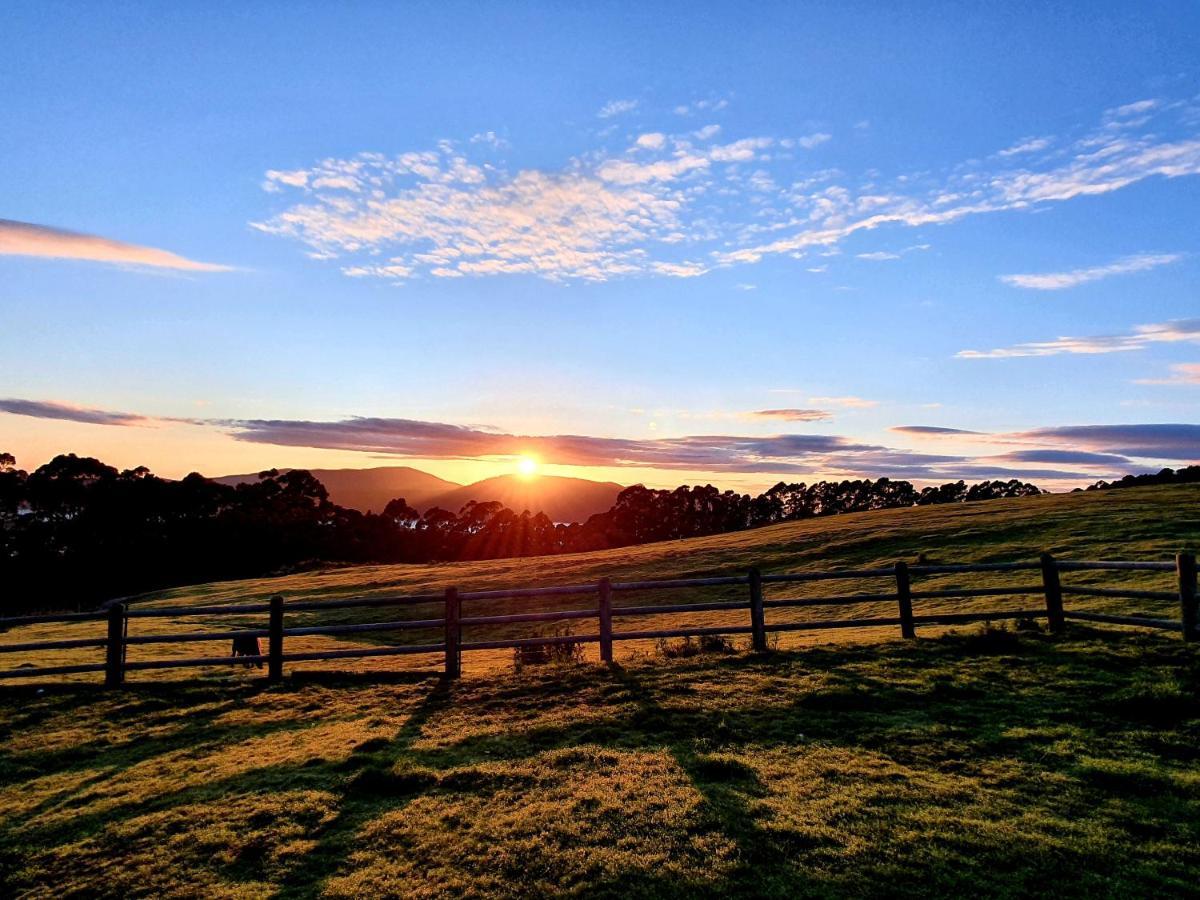 Ruby'S Cottage Farm Stay Port Arthur Buitenkant foto