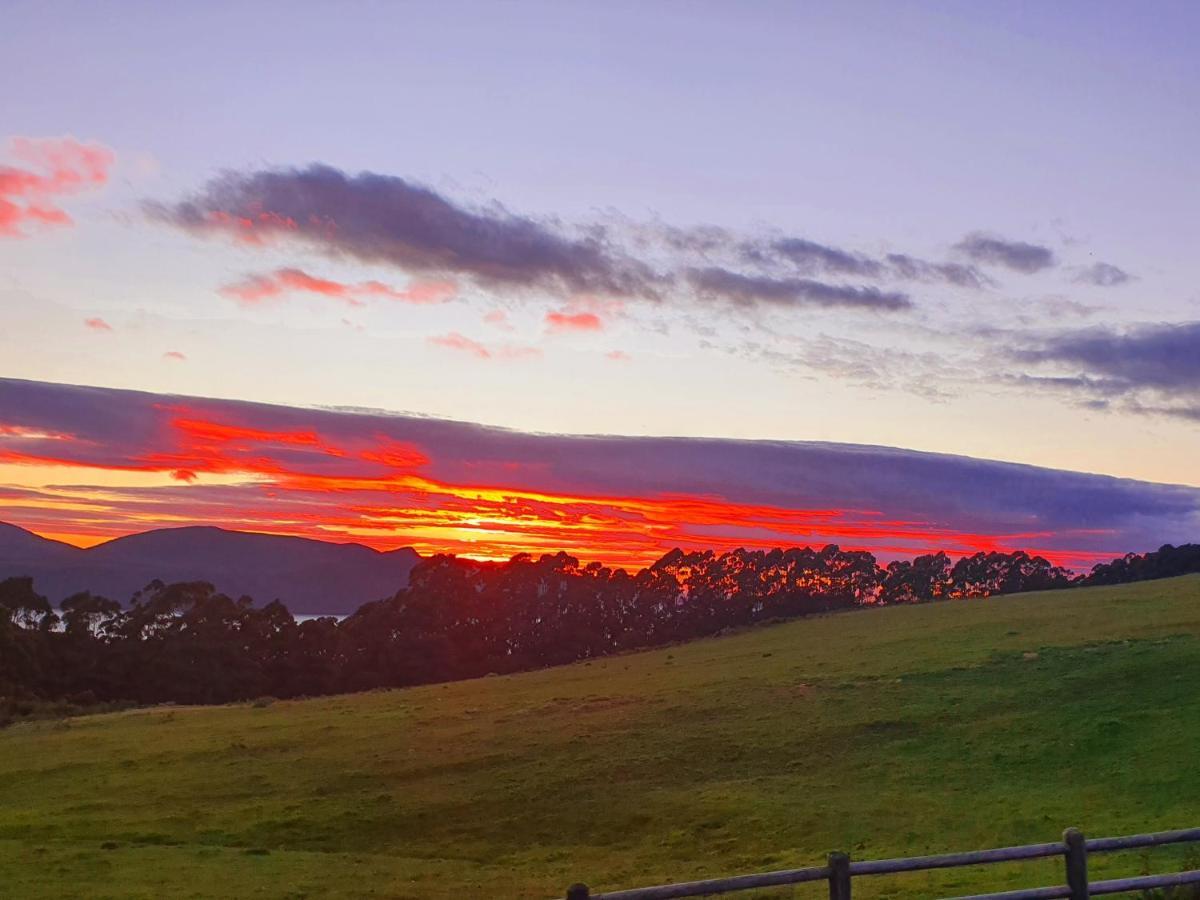 Ruby'S Cottage Farm Stay Port Arthur Buitenkant foto