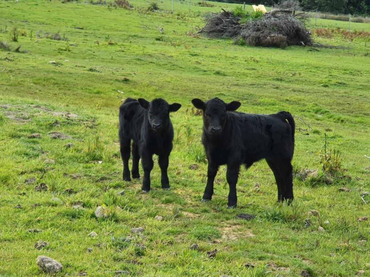 Ruby'S Cottage Farm Stay Port Arthur Buitenkant foto