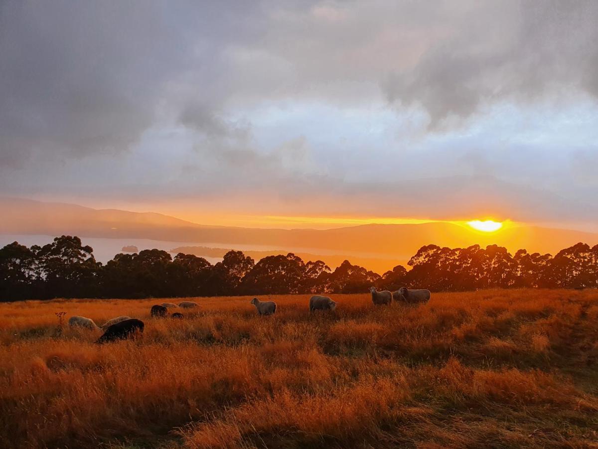 Ruby'S Cottage Farm Stay Port Arthur Buitenkant foto