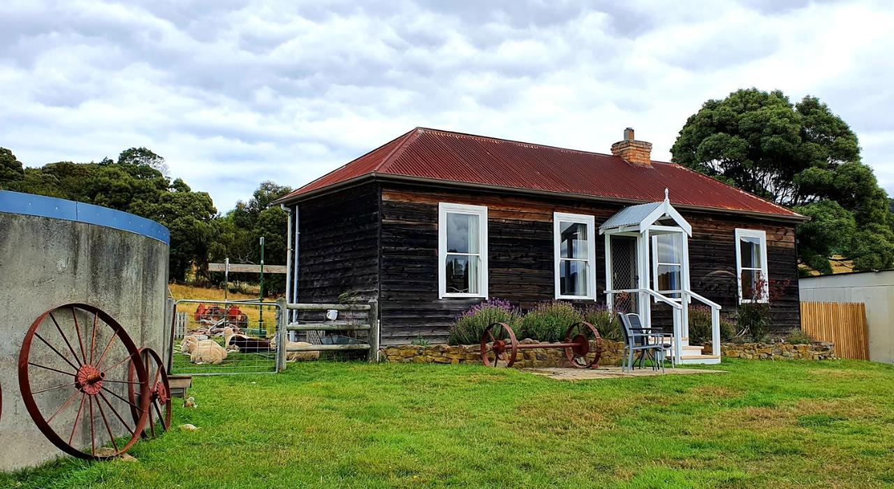 Ruby'S Cottage Farm Stay Port Arthur Buitenkant foto