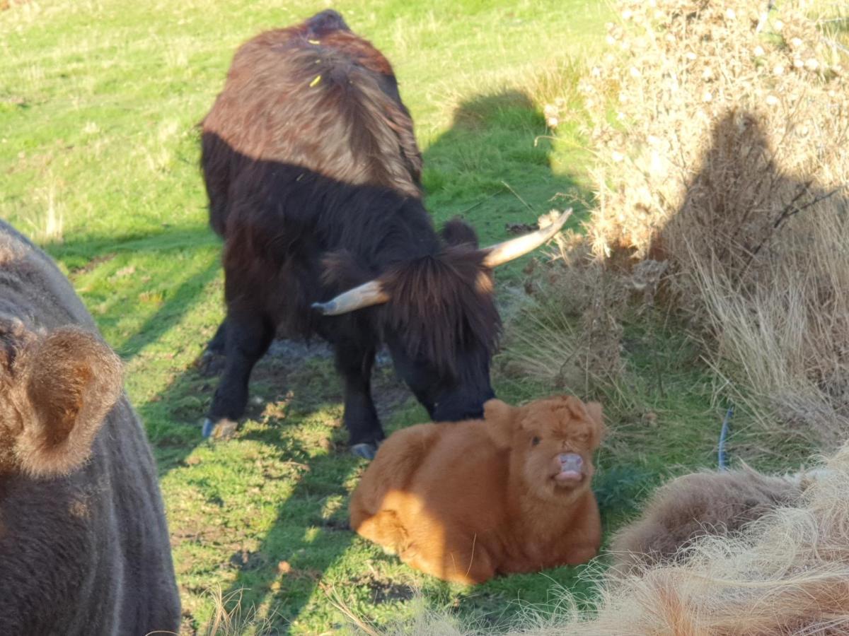 Ruby'S Cottage Farm Stay Port Arthur Buitenkant foto