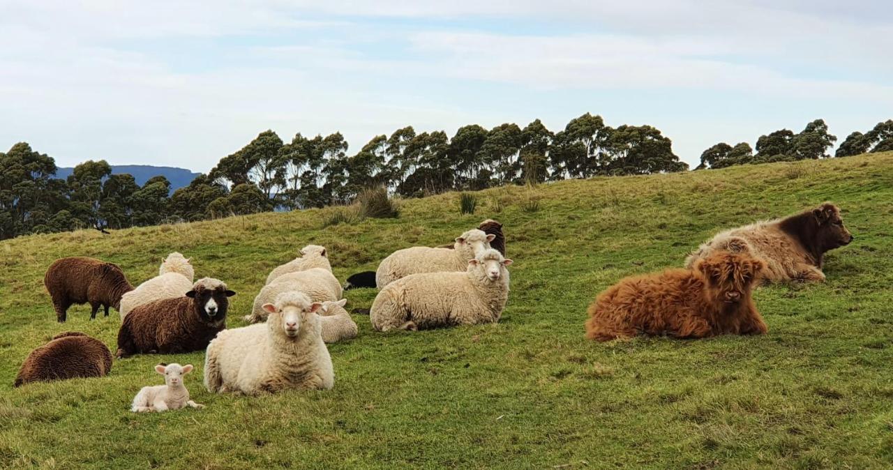 Ruby'S Cottage Farm Stay Port Arthur Buitenkant foto
