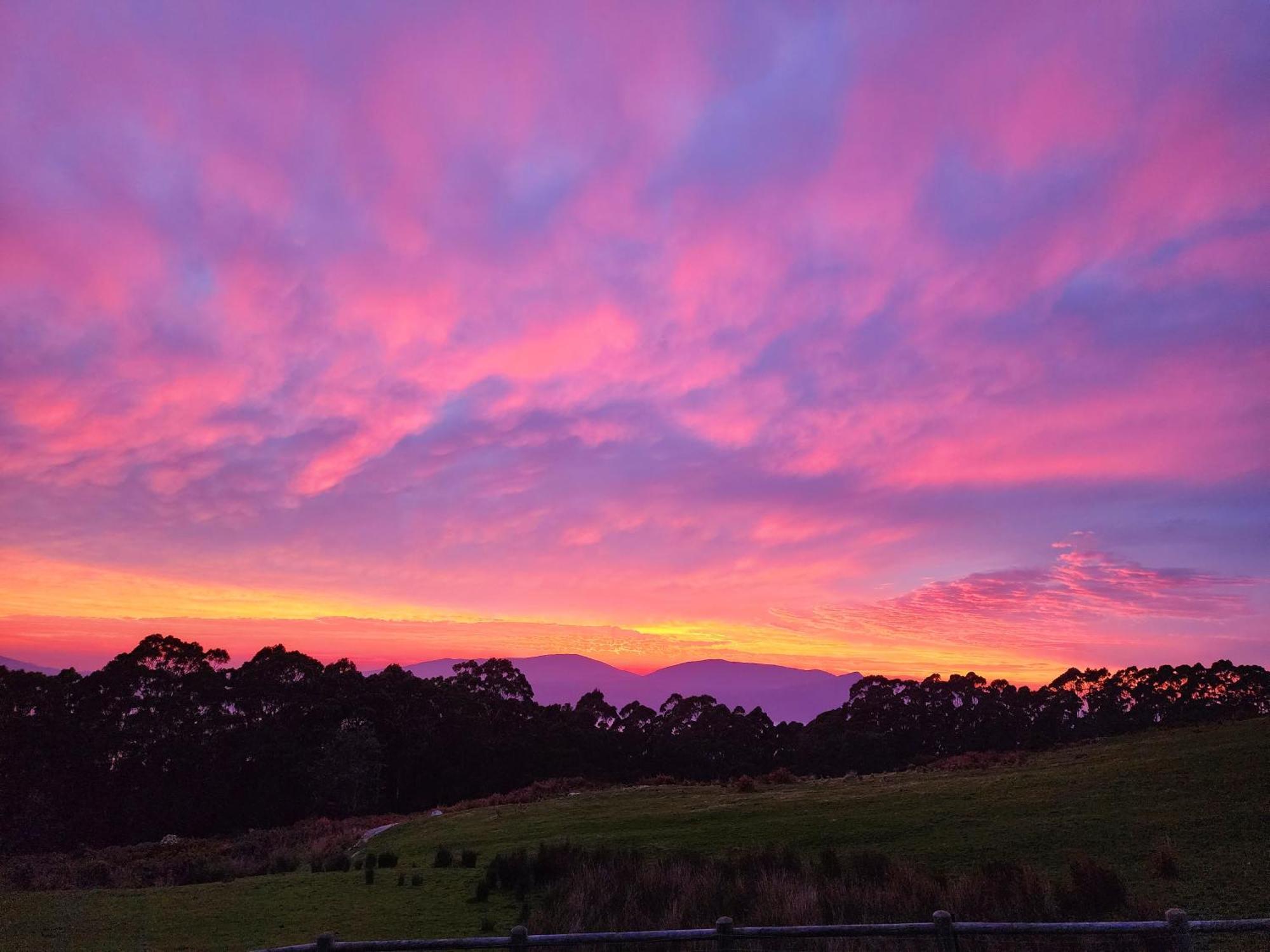 Ruby'S Cottage Farm Stay Port Arthur Buitenkant foto
