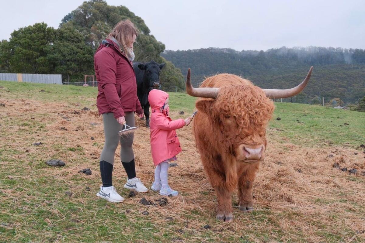 Ruby'S Cottage Farm Stay Port Arthur Buitenkant foto